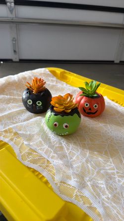 Halloween pumpkin plant Set of 3 Halloween pumpkin plant