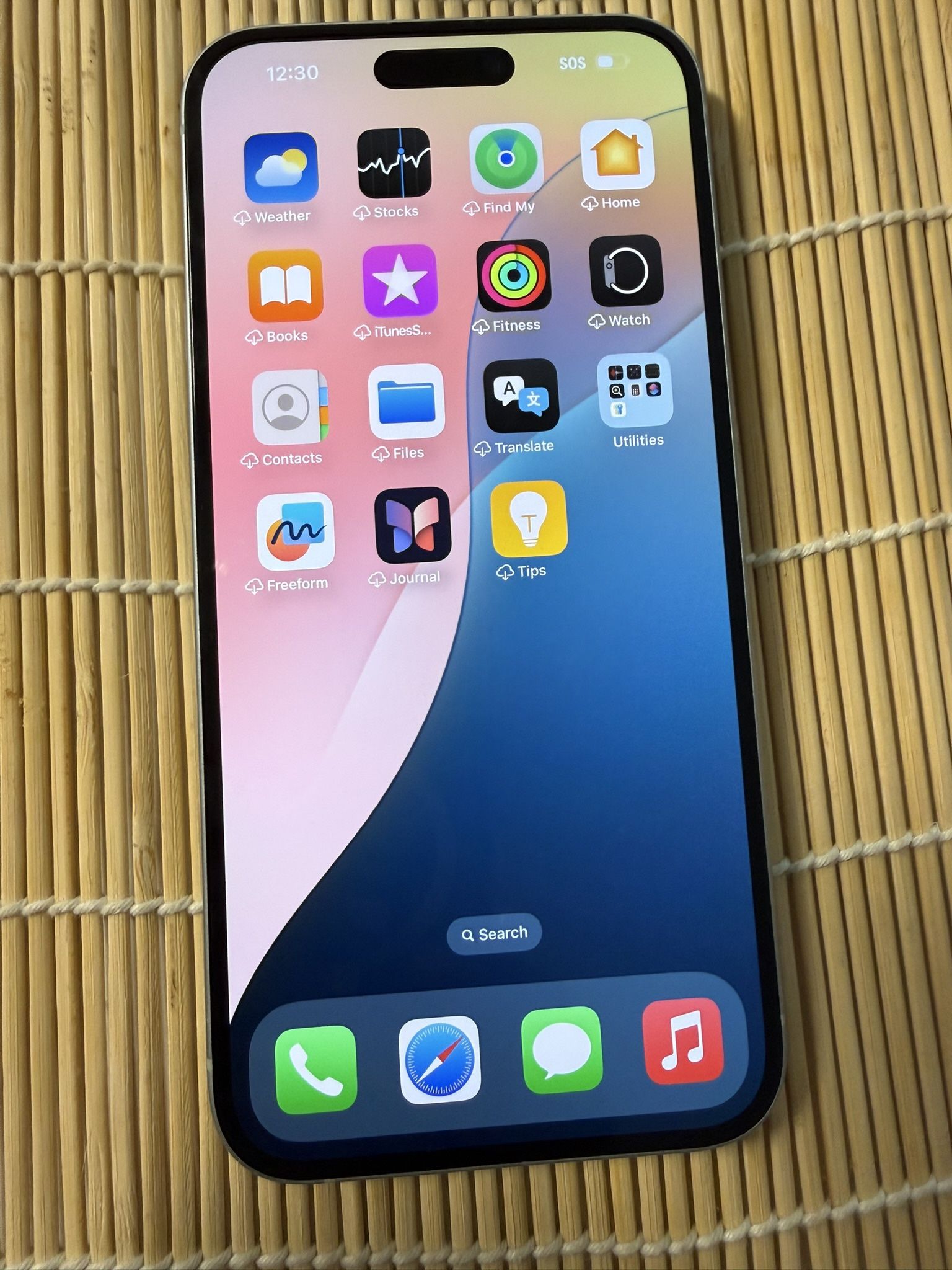 iPhone 15 Plus