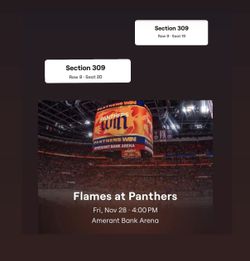 Panthers Vs Flames 