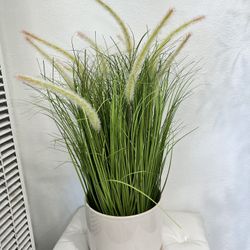 Artificial Plants 