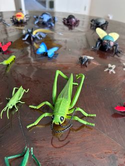Insect Figurine Collection