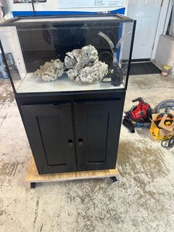 Innovative Marine 20gallon AIO Aquarium