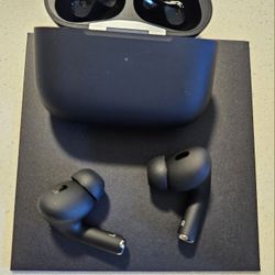 TRUE WIRELESS EARBUDS 