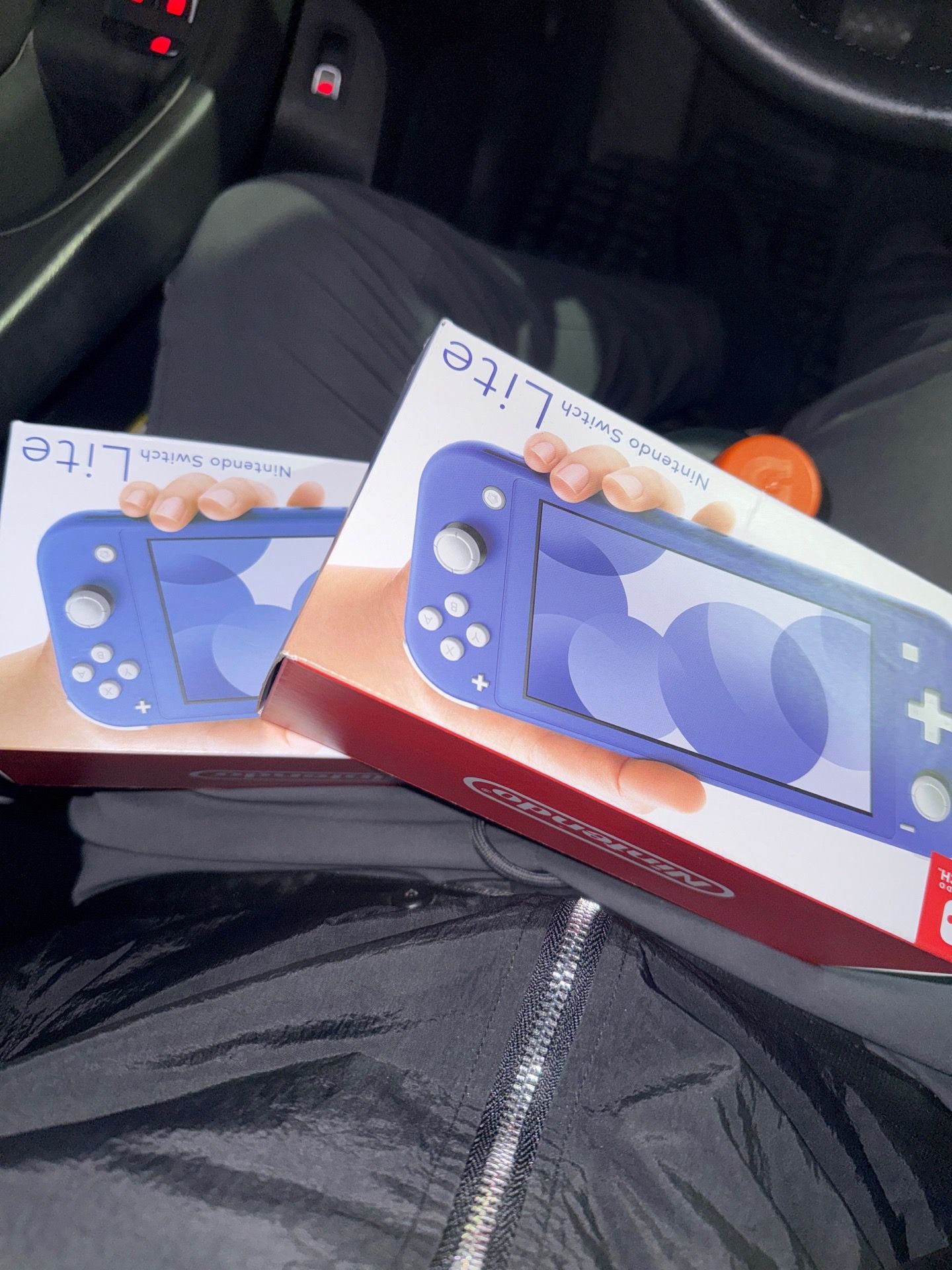 Nintendo switches lite