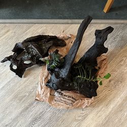 Driftwood for aquarium