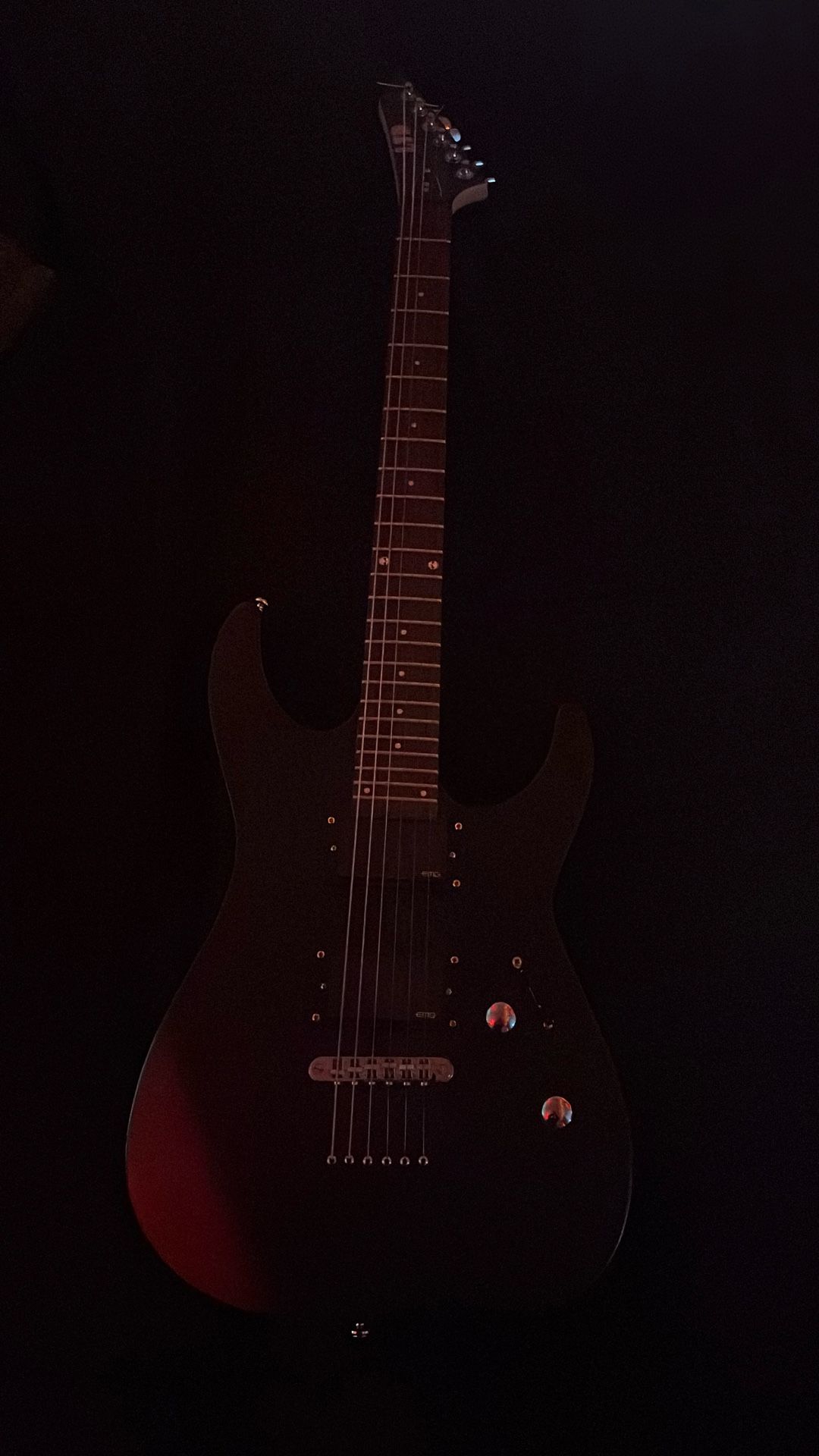 ESP LTD custom guitar