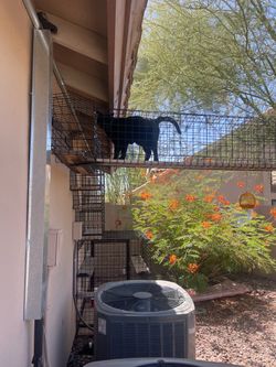 Massive Habitat Haven Custom Steel Catio System – Multi-Enclosure Luxury Setup