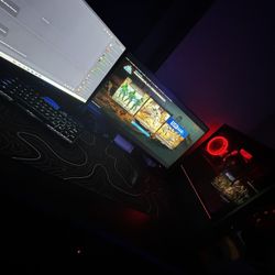 2 Gaming monitors 