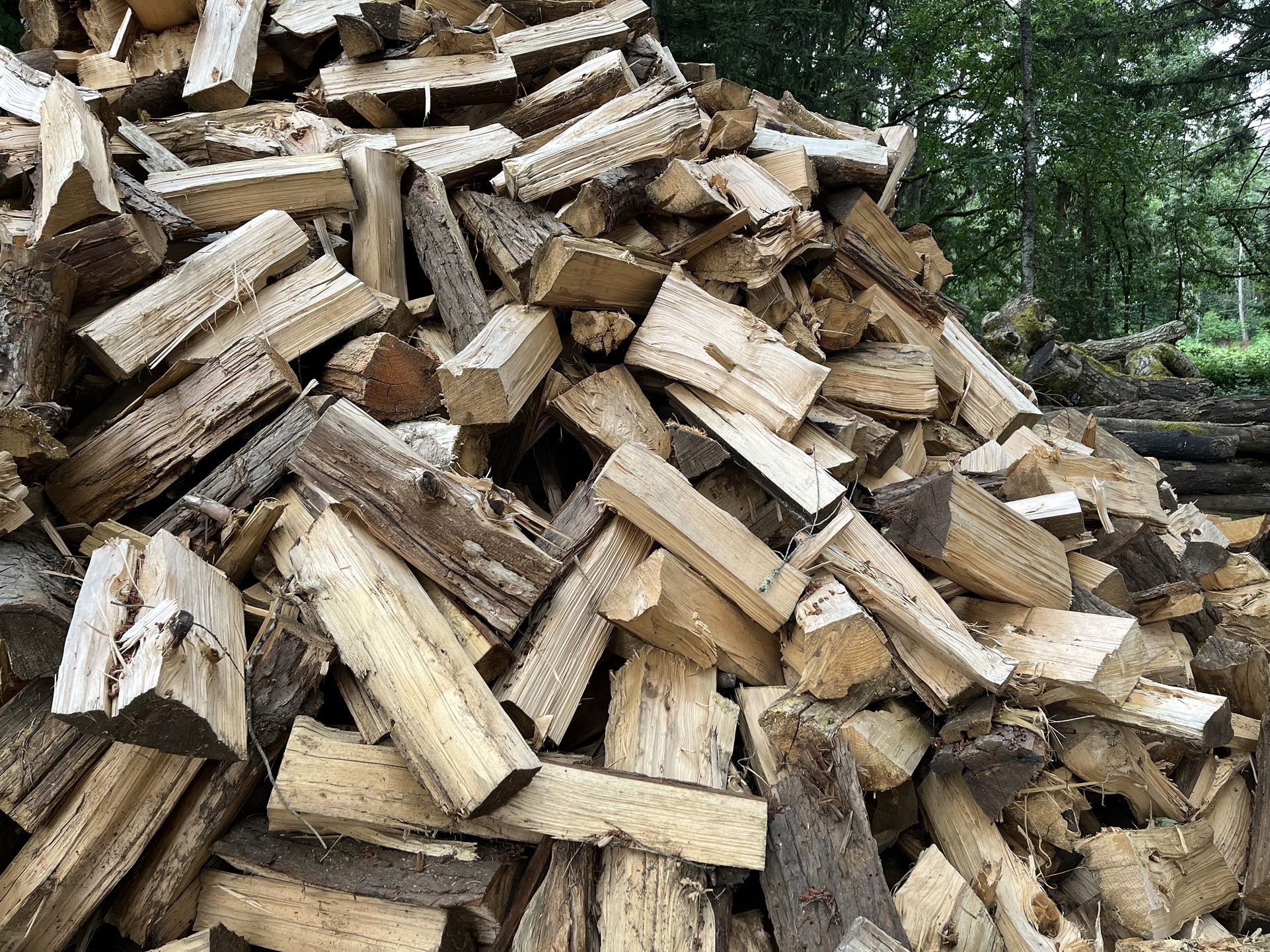 Cedar Firewood Seasoned