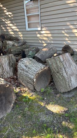 Free wood