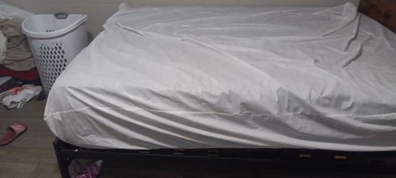 14inch mattress ALWAYS BEEN PROTECTED FOR  pillow top