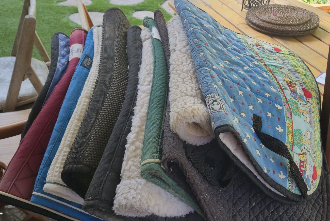 Horse Blankets
