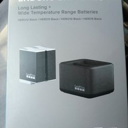 Dual Charger Enduro Batteries