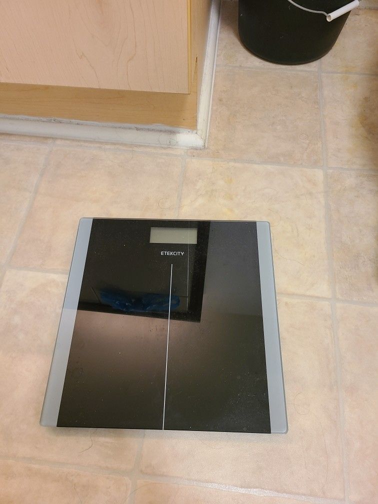 Scale
