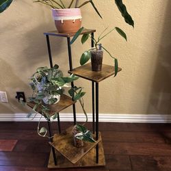 5 Tier Plant Stand 
