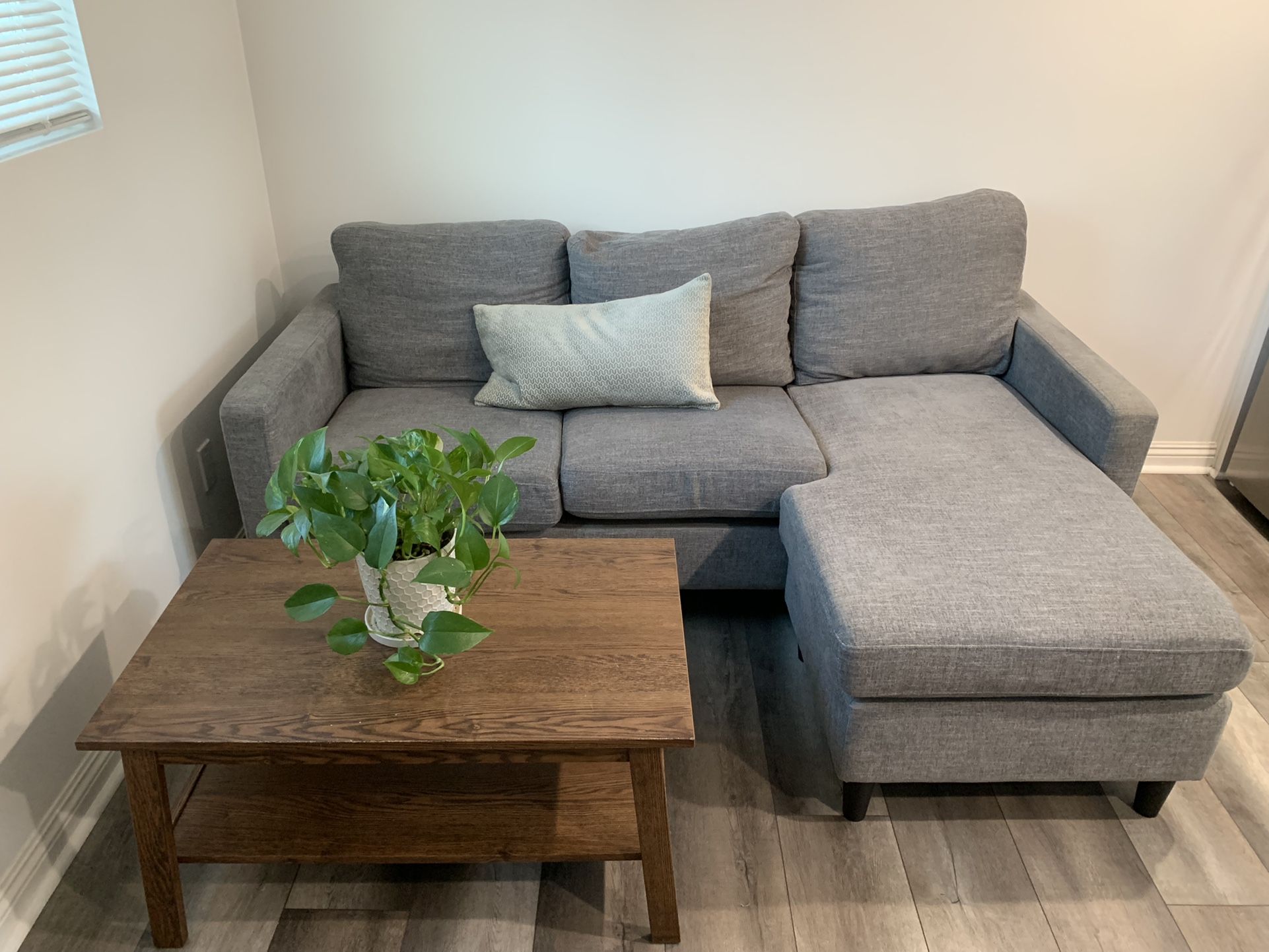 Coffee Table & Sectional Couch