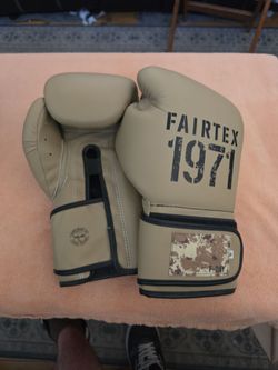 Fairtex 1971 gloves.