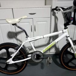 GT  Dyno SKYWAY MAGS 