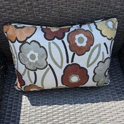 2 CUTE OUTDOOR PILLOWS!
