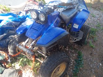 Warrior 350 ATV