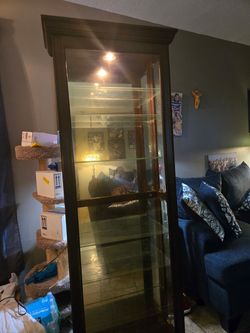 LIGHT UP CURIO/DISPLAY CASE