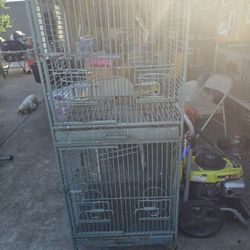 Dual Bird Cage 
