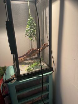 Reptile Screen Enclosure with Decor