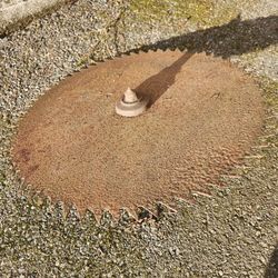Vintage, saw blade
