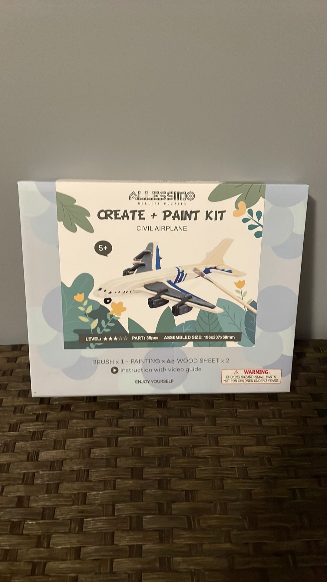 Allessimo 3D Create & Paint DiY Civil Airplane Brand New