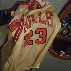 Vintage Jordan Jersey 