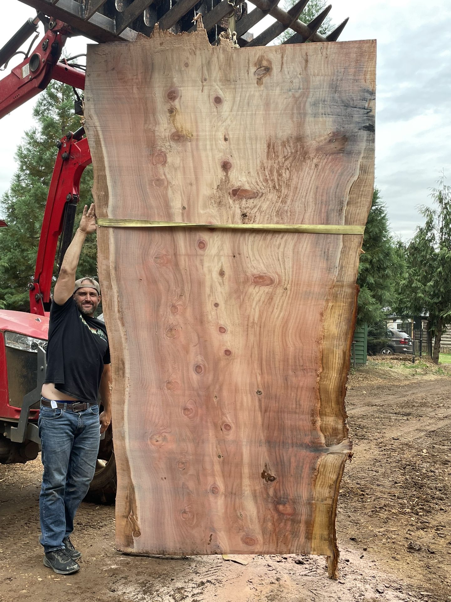 Absolutely Massive Live Edge Redwood Slab!! Free Delivery Tomorrow From Oregon