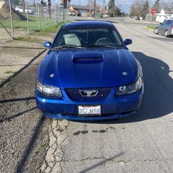 2004 Ford Mustang