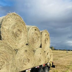 Fresh Hay Bales (5x5’s)