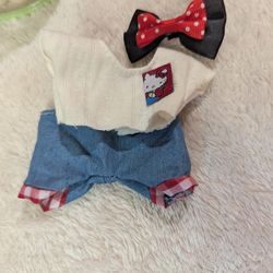 Labubu Outfit 