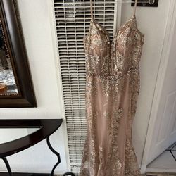 Gold And Dusty Rose Dress