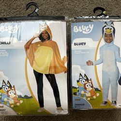 Bluey And Chilli Halloween Costumes 