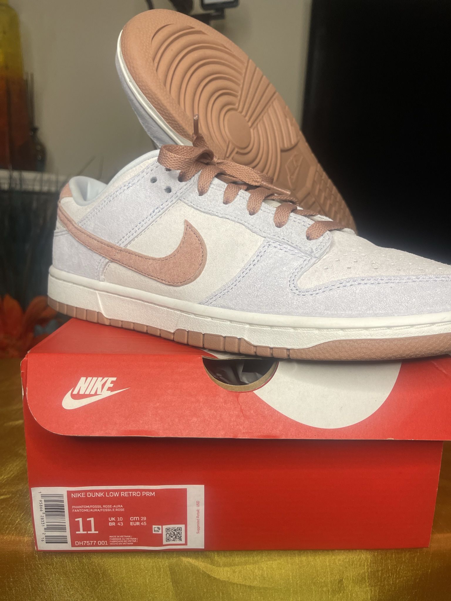 Nike Dunk WORN 1x $100