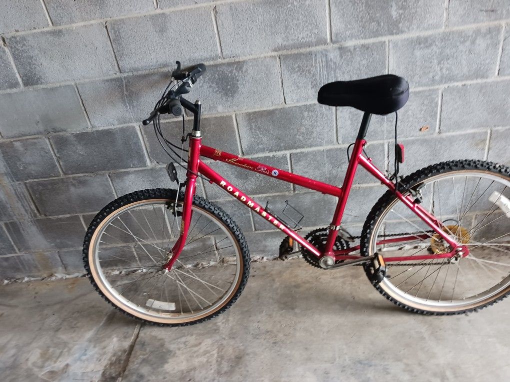 For Sale 10 speed bike