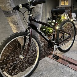 Cannondale Mountain Bike