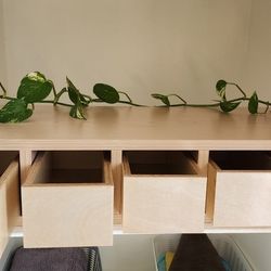 Shelf/Organizer 
