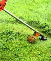 Lanscaping For Sale $1