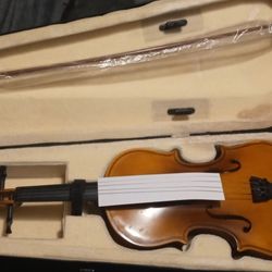 Violin