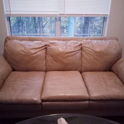 Gently Used Couch For Sale