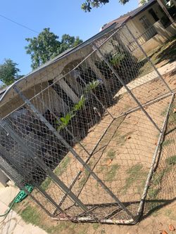 Cage