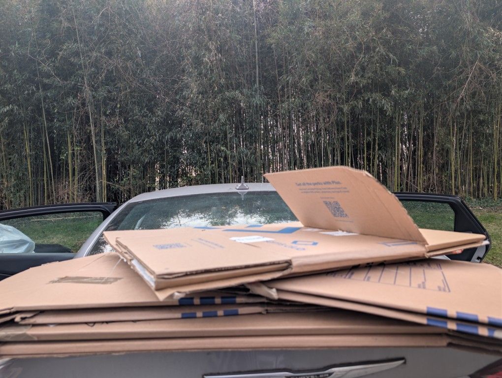 Big Moving Box And Paper Bundle