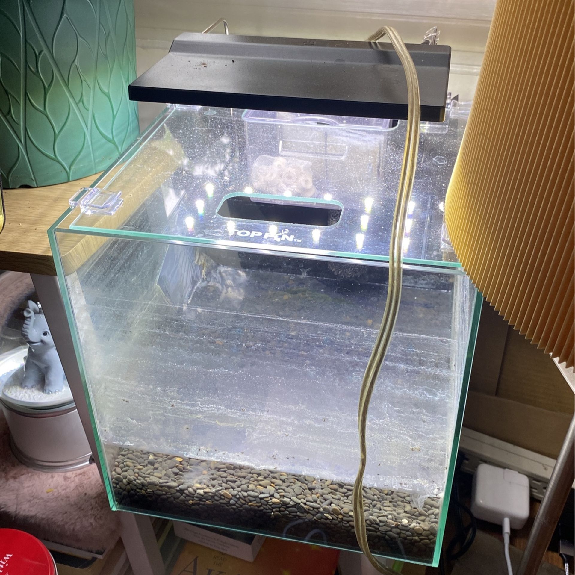 3 Gallon Shrimp/plant Tank