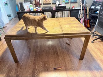 Free table- cat not included