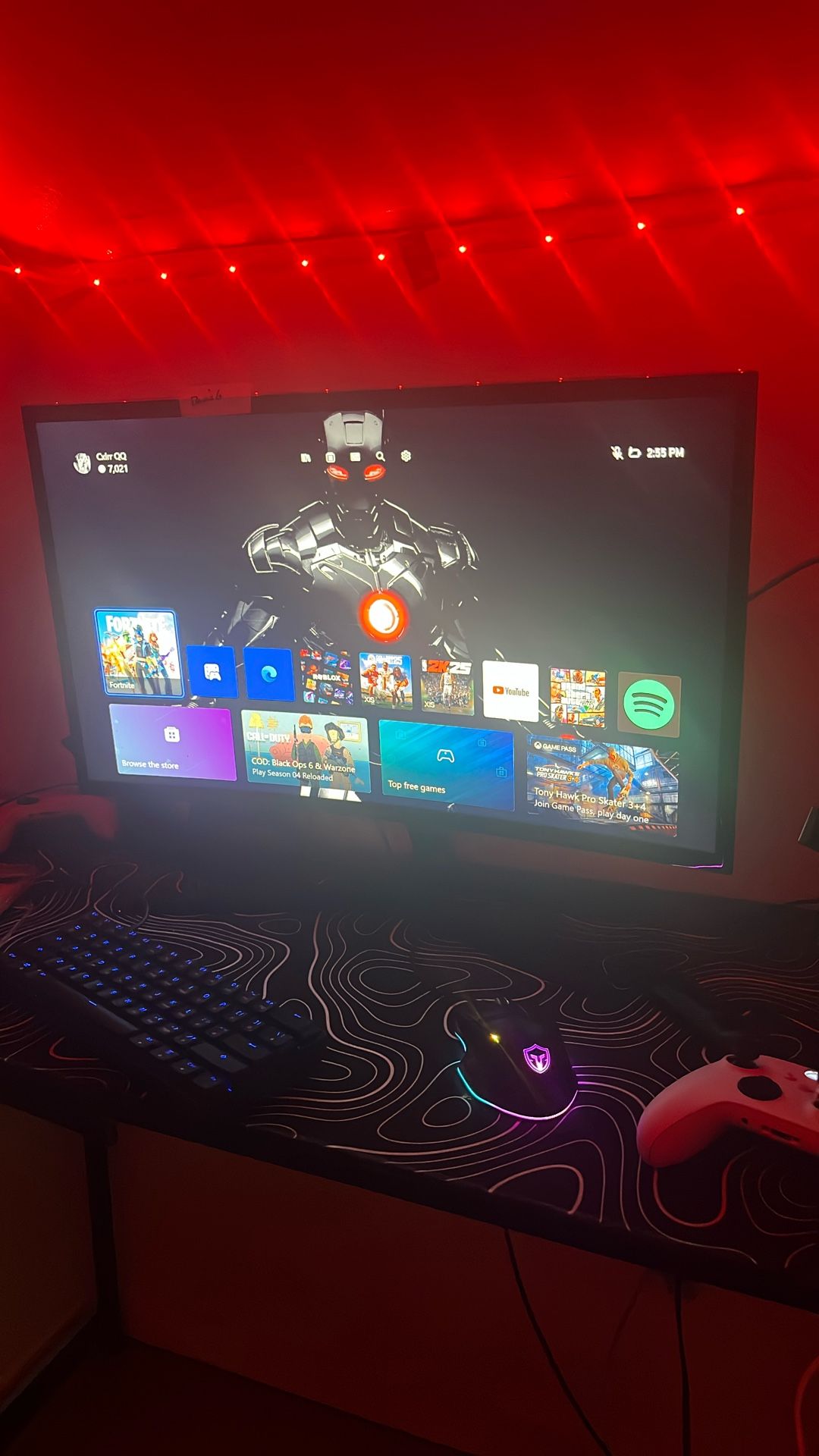 Gaming Monitor