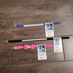 Dog Collars 