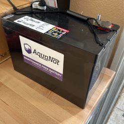 Zoeller 12 VDC, 72 Ah, Pedestal Sump Pump Battery, 10-1450